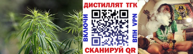 Дистиллят ТГК концентрат Ефремов