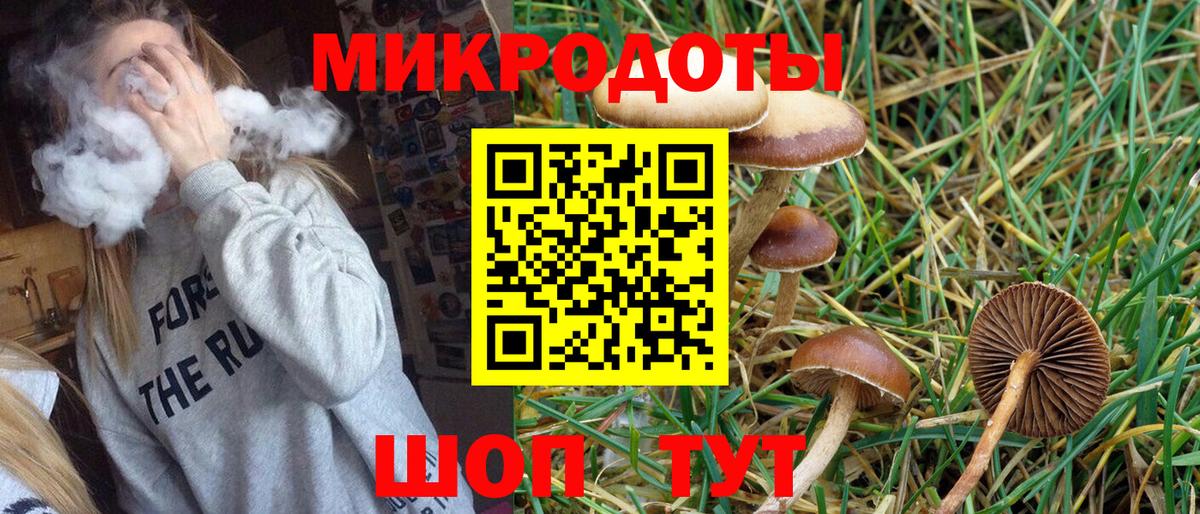 Псилоцибиновые грибы Psilocybine cubensis  Ефремов 