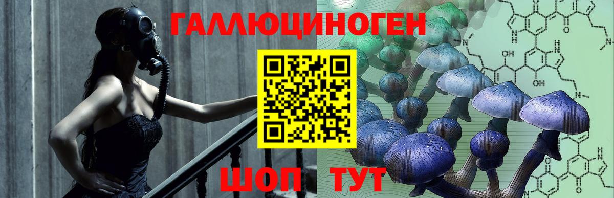 Псилоцибиновые грибы MAGIC MUSHROOMS  Ефремов 