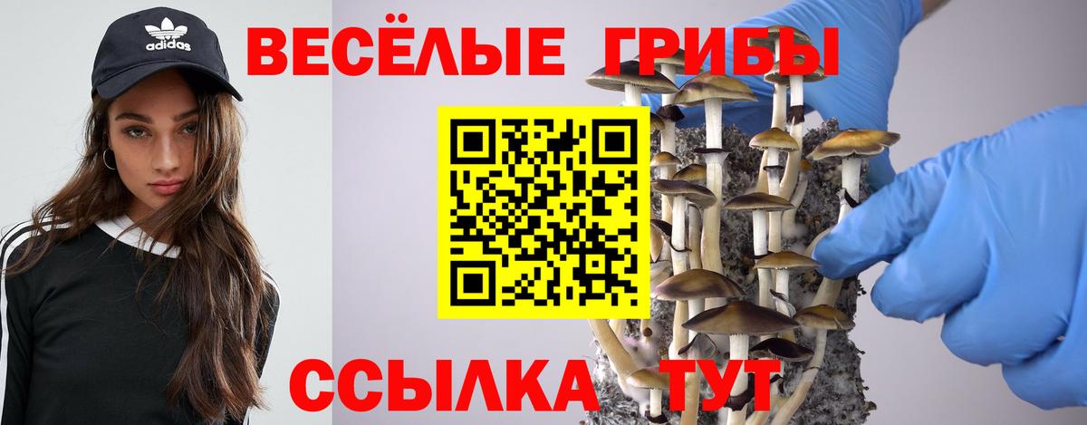 Псилоцибиновые грибы прущие грибы Ефремов