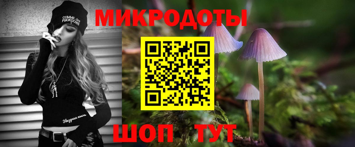 Галлюциногенные грибы мухоморы Ефремов
